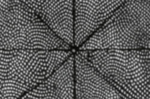 Jenseits des Bargelds: Wie Japans digitaler Yen die globale Finanzordnung neu definieren wird