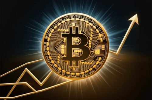 Wall Streets Rausch, die Leere der Kleinanleger? Eine Dekonstruktion des neuen Bitcoin-Höhenflugs